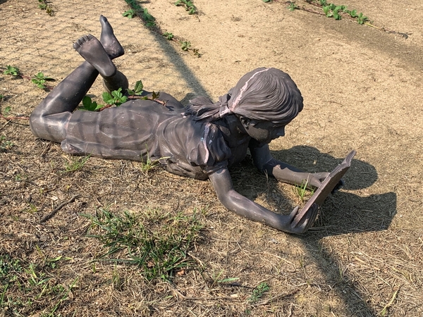 The Naked Farm