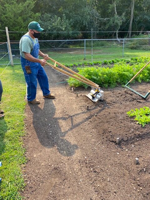 Working at The Naked Farm